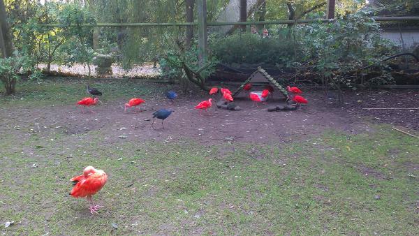 Название: Бельгия11.14 5935.jpg
Просмотров: 6048
Размер: 55.2 Кб