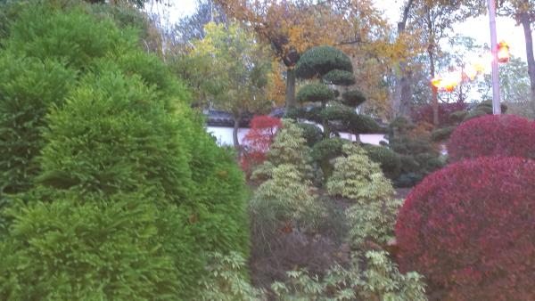 Название: Бельгия11.14 5965.jpg
Просмотров: 5553
Размер: 42.0 Кб