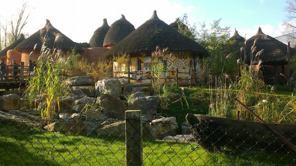 Название: IMAG1954.jpg
Просмотров: 5584
Размер: 54.0 Кб