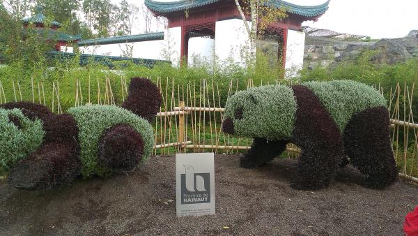 Название: IMAG1952.jpg
Просмотров: 5689
Размер: 54.5 Кб