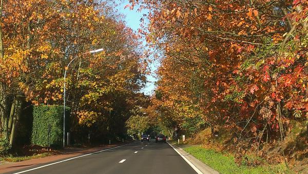 Название: IMAG1867.jpg
Просмотров: 5637
Размер: 79.0 Кб