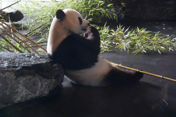 Название: DSC_0385.jpg
Просмотров: 5147
Размер: 38.4 Кб