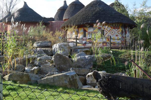 Название: DSC_0390.jpg
Просмотров: 5100
Размер: 62.3 Кб