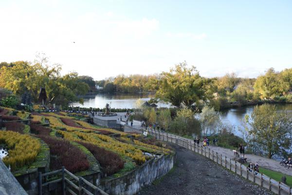 Название: DSC_0460.jpg
Просмотров: 6290
Размер: 40.1 Кб