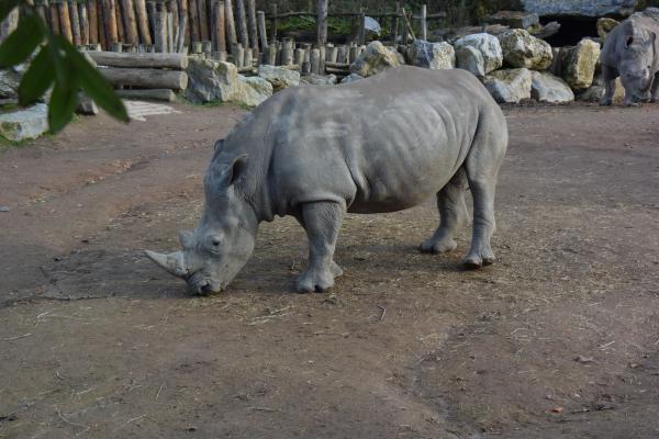 Название: DSC_0401.jpg
Просмотров: 5713
Размер: 42.8 Кб