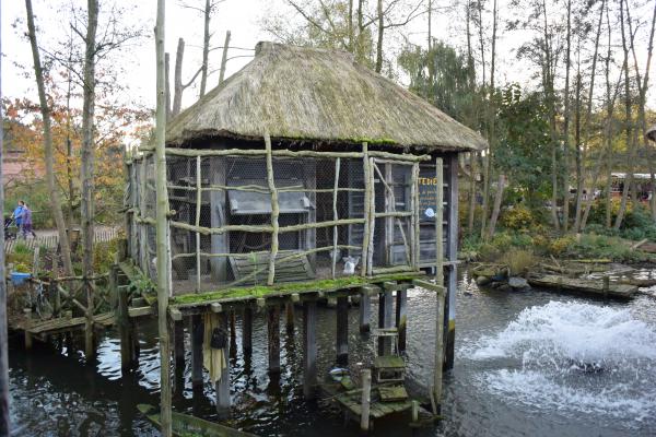 Название: DSC_0469.jpg
Просмотров: 5702
Размер: 64.5 Кб