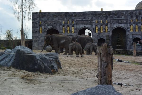 Название: DSC_0429.jpg
Просмотров: 5822
Размер: 42.0 Кб