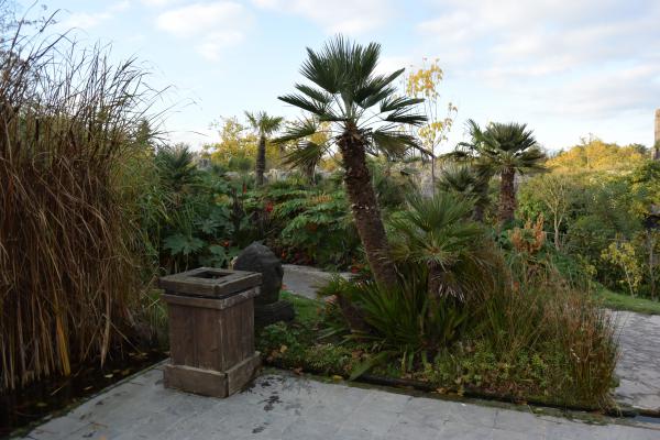 Название: DSC_0442.jpg
Просмотров: 6307
Размер: 48.8 Кб