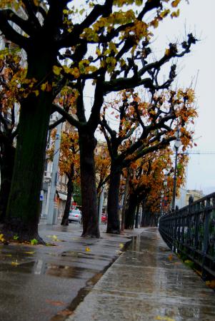 Название: dsc_5732_1.jpg
Просмотров: 3850
Размер: 35.3 Кб