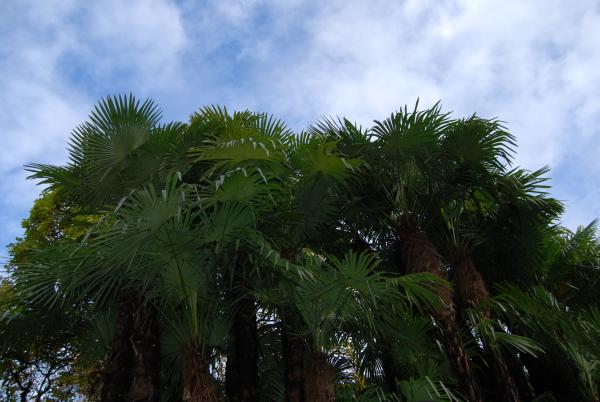 Название: DSC_5944.jpg
Просмотров: 3035
Размер: 39.3 Кб