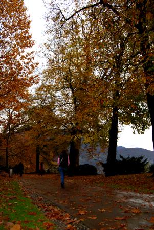 Название: dsc_6035_1.jpg
Просмотров: 2968
Размер: 44.3 Кб