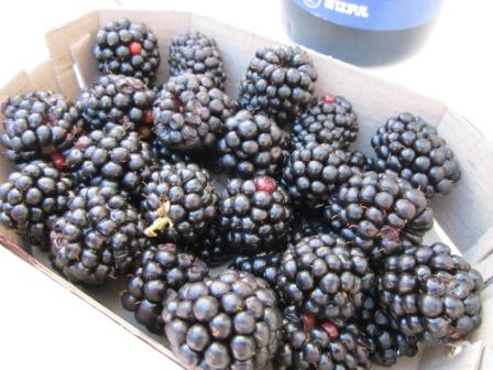 Название: IMG_0114m.jpg
Просмотров: 1013
Размер: 45.9 Кб