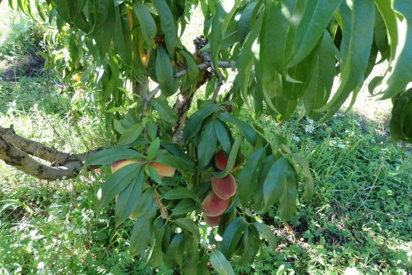 Название: Изображение 305.jpg
Просмотров: 608
Размер: 66.5 Кб