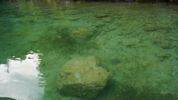 Название: DSC00121.jpg
Просмотров: 683
Размер: 26.5 Кб