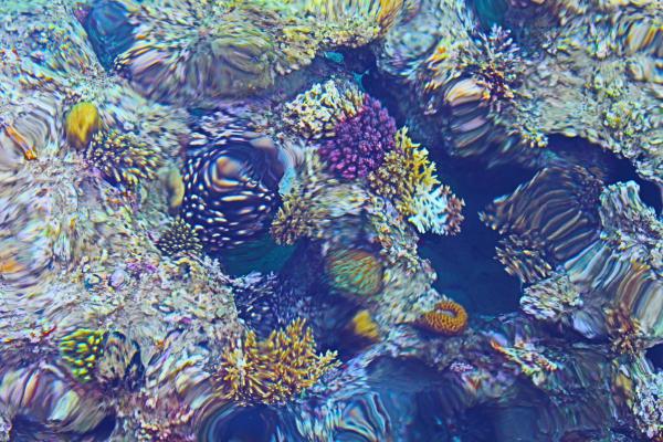 Название: image.jpg
Просмотров: 751
Размер: 73.2 Кб