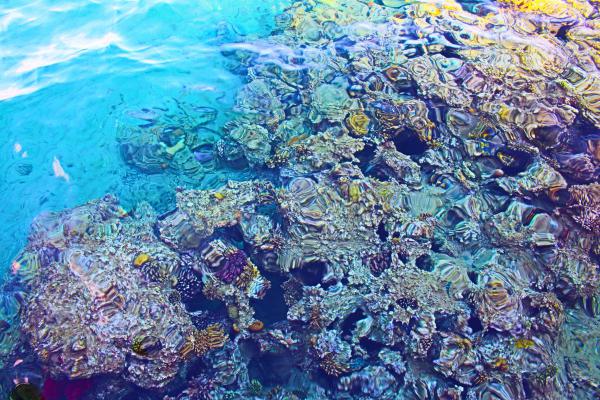 Название: image.jpg
Просмотров: 746
Размер: 79.8 Кб