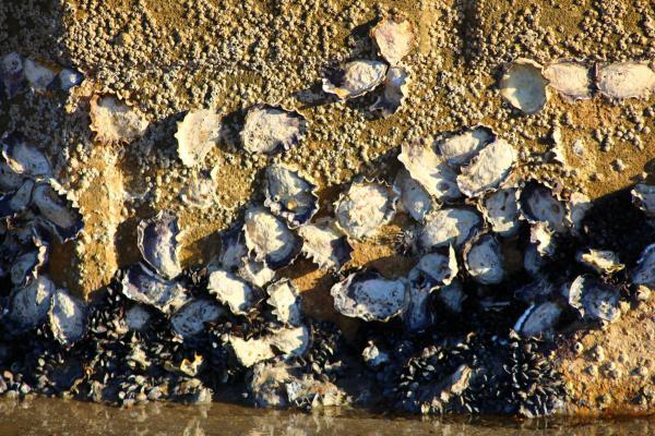 Название: image.jpg
Просмотров: 749
Размер: 81.2 Кб