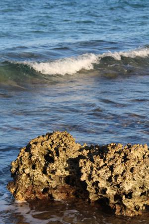 Название: image.jpg
Просмотров: 699
Размер: 32.5 Кб