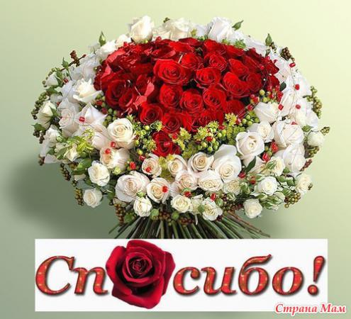 Название: 6990523_31935thumb500.jpg
Просмотров: 458
Размер: 43.9 Кб