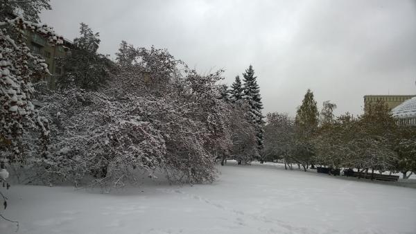 Название: WP_20161028_037.jpg
Просмотров: 17419
Размер: 35.8 Кб