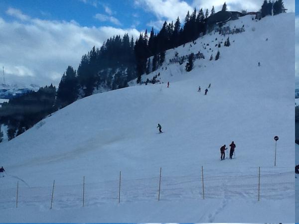 Название: gori8.jpg
Просмотров: 878
Размер: 27.1 Кб