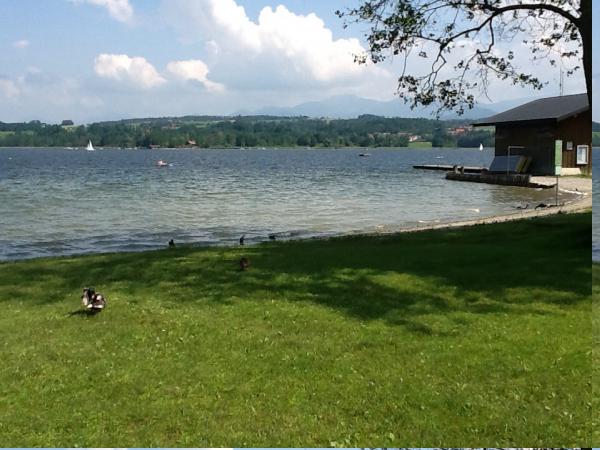 Название: image1.jpg
Просмотров: 683
Размер: 47.8 Кб