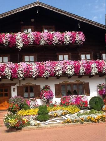 Название: image4.jpg
Просмотров: 841
Размер: 35.5 Кб