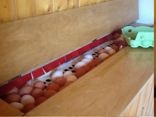 Название: image9.jpg
Просмотров: 793
Размер: 31.5 Кб