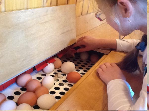 Название: image10.jpg
Просмотров: 865
Размер: 36.6 Кб