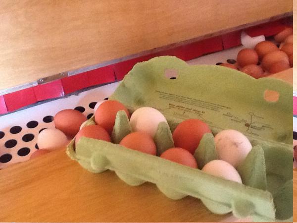 Название: image11.jpg
Просмотров: 817
Размер: 34.2 Кб