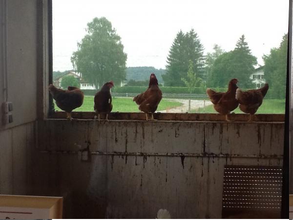 Название: image12.jpg
Просмотров: 821
Размер: 31.0 Кб