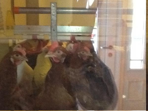 Название: image13.jpg
Просмотров: 827
Размер: 32.3 Кб