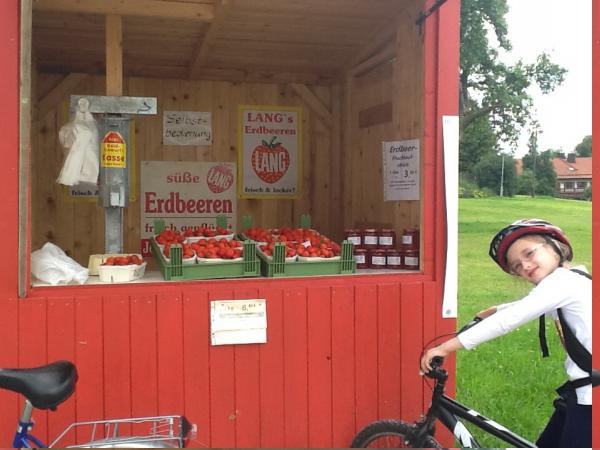 Название: image14.jpg
Просмотров: 902
Размер: 40.0 Кб