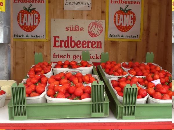 Название: image15.jpg
Просмотров: 821
Размер: 48.1 Кб