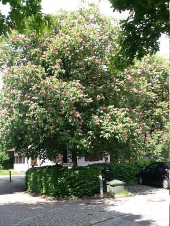 Название: image1.jpg
Просмотров: 830
Размер: 47.0 Кб