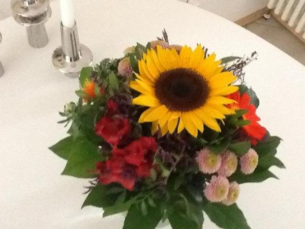 Название: image (1).jpg
Просмотров: 508
Размер: 36.6 Кб