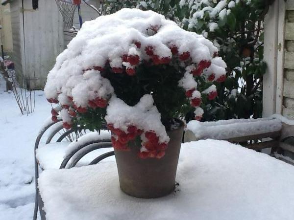 Название: image (2).jpg
Просмотров: 490
Размер: 41.7 Кб