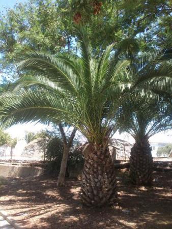 Название: DSC_0319.jpg
Просмотров: 713
Размер: 41.4 Кб