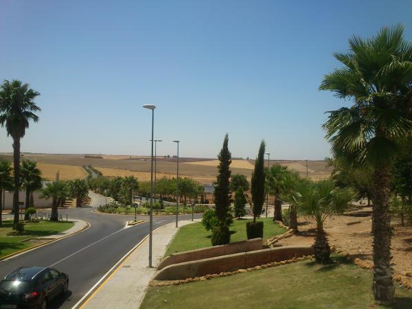 Название: DSC_0322.jpg
Просмотров: 815
Размер: 38.0 Кб