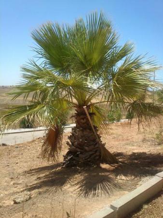 Название: DSC_0324.jpg
Просмотров: 796
Размер: 34.3 Кб