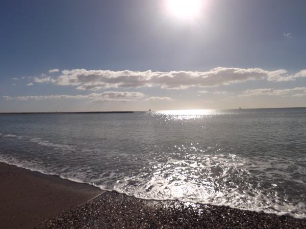 Название: DSCF1423.jpg
Просмотров: 2889
Размер: 36.7 Кб