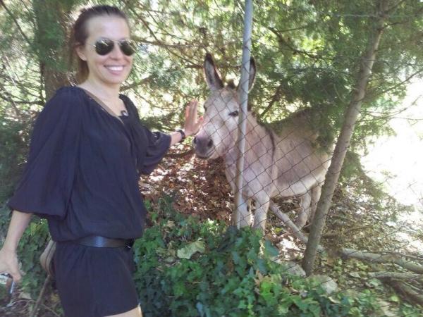 Название: image.jpg
Просмотров: 994
Размер: 58.1 Кб