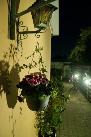 Название: DSC_0195.jpg
Просмотров: 846
Размер: 23.2 Кб