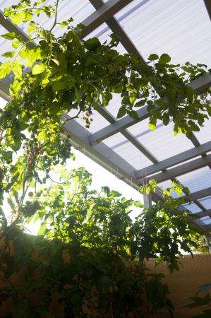 Название: DSC_0184.jpg
Просмотров: 834
Размер: 36.2 Кб