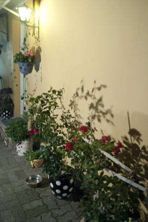 Название: DSC_0209.jpg
Просмотров: 813
Размер: 22.0 Кб