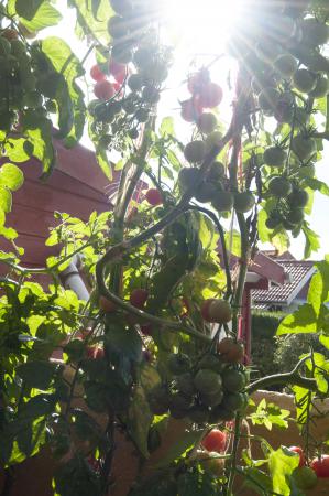 Название: DSC_0230.jpg
Просмотров: 860
Размер: 33.6 Кб