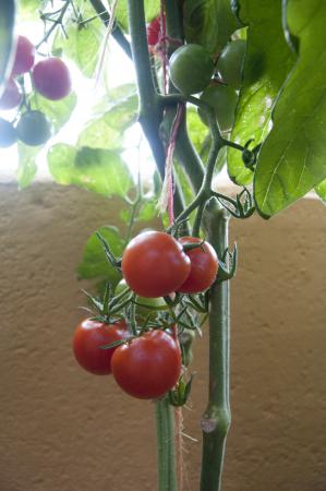 Название: DSC_0236.jpg
Просмотров: 844
Размер: 21.6 Кб