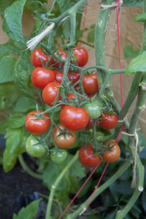 Название: DSC_0237.jpg
Просмотров: 841
Размер: 24.1 Кб