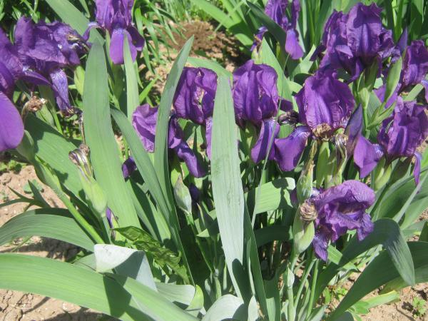 Название: Изображение 015.jpg
Просмотров: 784
Размер: 64.1 Кб