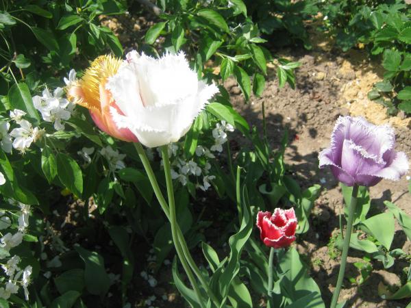 Название: Изображение 016.jpg
Просмотров: 877
Размер: 59.5 Кб